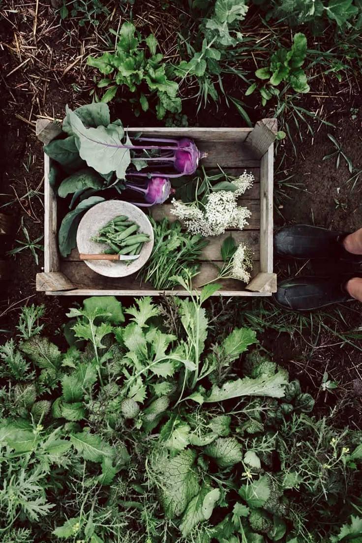 Green Bliss: Leafy & Crunchy Vegetable Mix
